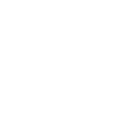 Mindsoul Logo